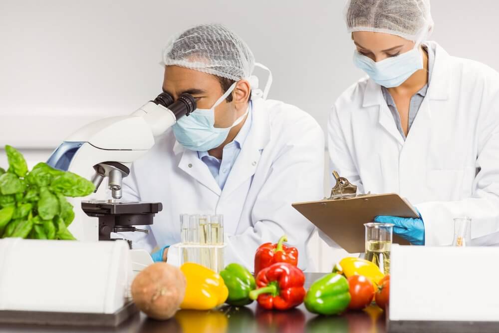 Food Scientists examine produce properties with microscope